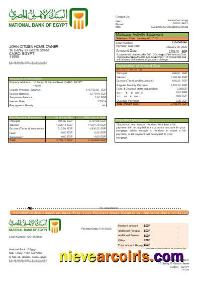 Egypt National Bank of Egypt bank mortgage statement